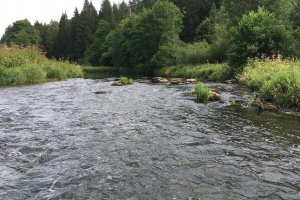 Gewässerstrecke 3